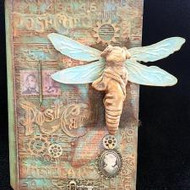 Dragonfly Lady Book